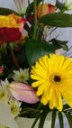 Celebration Box Aqua Bouquet . (2)